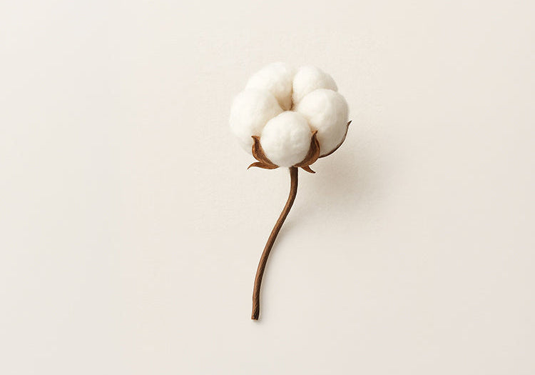 Why Your Skin Loves iCotton More