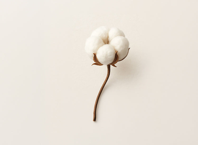 Why Your Skin Loves iCotton More