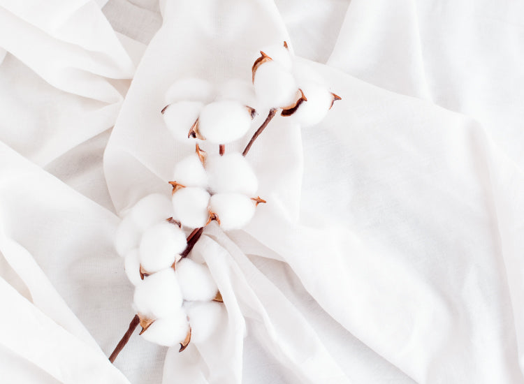 Cotton.jpg